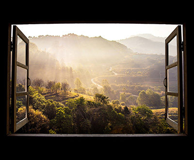 Window on the world